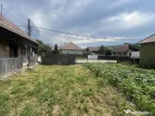 GRADINA BUNICII DE ODINIOARA,DE VANZARE -PAPAUTI,COVASNA. 