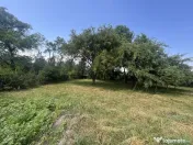 GRADINA BUNICII DE ODINIOARA,DE VANZARE -PAPAUTI,COVASNA. 