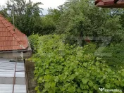 OPORTUNITATE : Proprietate formată din 2 case și teren gen 
