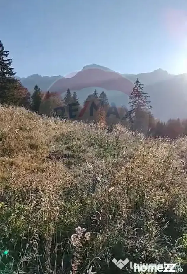 Comision 0% | Teren extravilan 23,000mp | Rasnov Glăjăr...