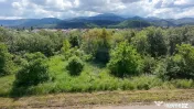 Teren intravilan Cristian 948 mp | CU emis | P+2E | Comis... 