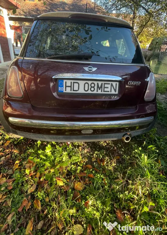 Vand Mini Cooper
