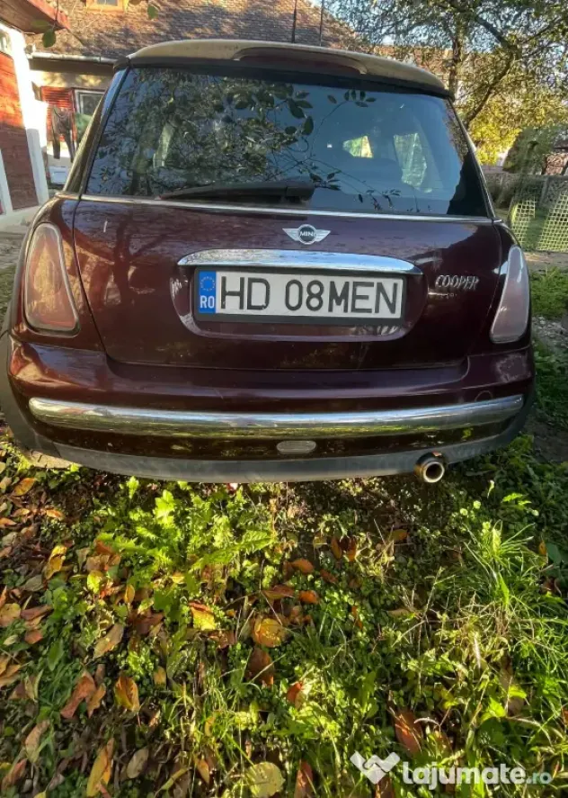 Vand Mini Cooper