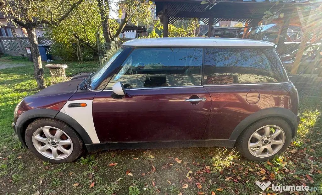 Vand Mini Cooper