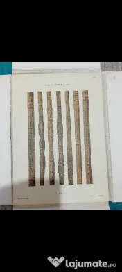 RAR, Dimitrie Comșa, Crestături în lemn, Sibiu 1979, Album de artă populară românească 