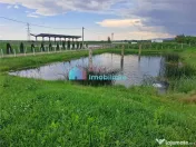 Casa cu teren si iazuri in Fantana Mare 