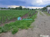 Casa cu teren si doua pastravarii in Fantana Mare