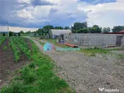 Casa cu teren si iazuri in Fantana Mare 