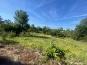 Casa noua - Baleasa - 1500 mp teren 