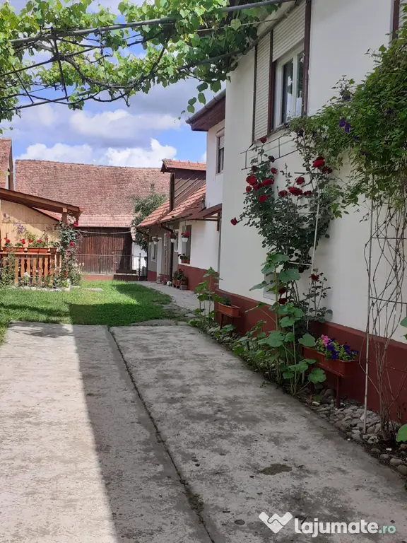 Casa