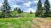 Teren 1.173 mp lângă liziera pădurii, apa si curent la f 