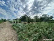 TEREN | CRANGURILE DE JOS | 6796 MP | INTRAVILAN | 