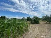 TEREN | CRANGURILE DE JOS | 6796 MP | INTRAVILAN | 
