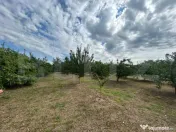 TEREN | CRANGURILE DE JOS | 6796 MP | INTRAVILAN | 