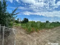 Teren intravilan, 6796 mp, zona Crangurile de Jos