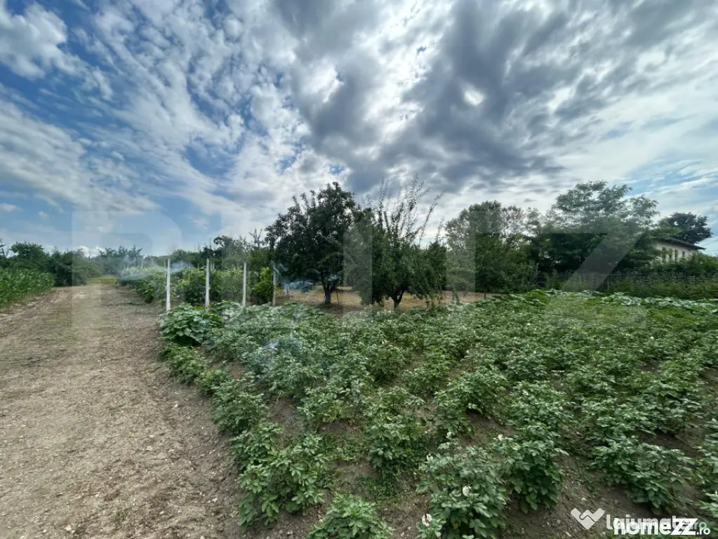 Teren intravilan, 6796 mp, zona Crangurile de Jos - Crangurile De Jos (Dambovita)
