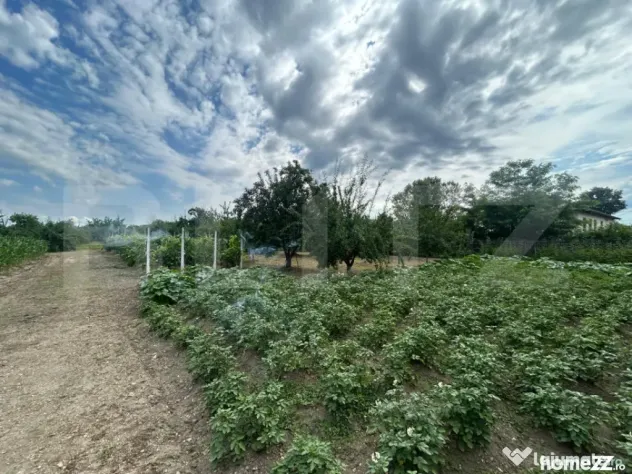 Teren intravilan, 6796 mp, zona Crangurile de Jos - Crangurile De Jos (Dambovita)