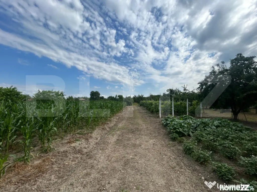 Teren intravilan, 6796 mp, zona Crangurile de Jos - Crangurile De Jos (Dambovita)