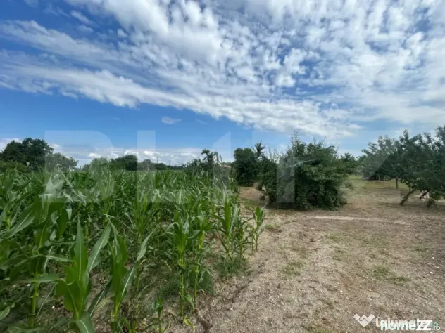 Teren intravilan, 6796 mp, zona Crangurile de Jos - Crangurile De Jos (Dambovita)