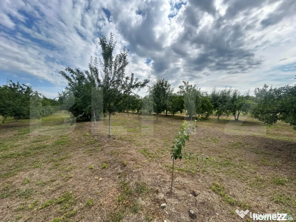 Teren intravilan, 6796 mp, zona Crangurile de Jos - Crangurile De Jos (Dambovita)