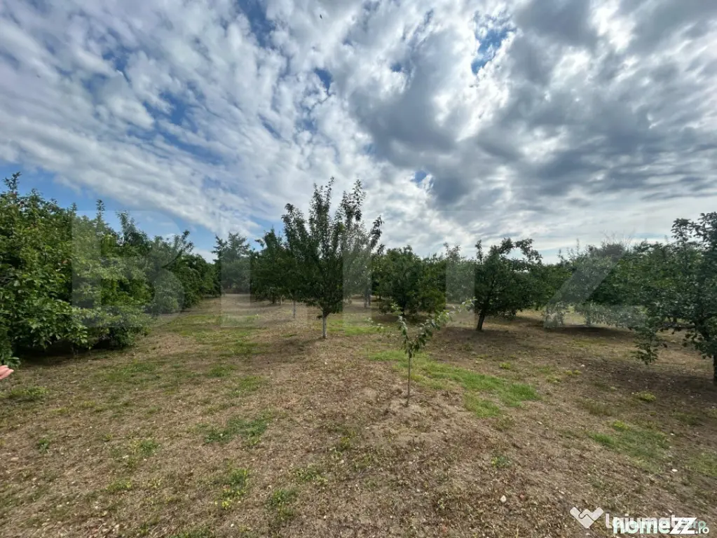 Teren intravilan, 6796 mp, zona Crangurile de Jos - Crangurile De Jos (Dambovita)