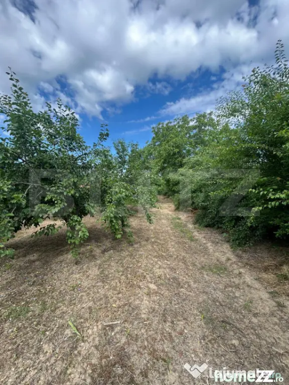 Teren intravilan, 6796 mp, zona Crangurile de Jos - Crangurile De Jos (Dambovita)