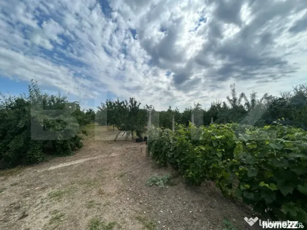 Teren intravilan, 6796 mp, zona Crangurile de Jos - Crangurile De Jos (Dambovita)