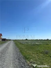 Doua Terenuri, Mosnita Veche, 799/ 712 mp 