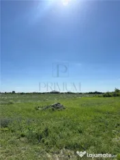Doua Terenuri, Mosnita Veche, 799/ 712 mp 