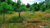 Teren intravilan 6115mp | Danesti, Maramures | Oportunita... 