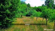 Teren intravilan 6115mp | Danesti, Maramures | Oportunita... 