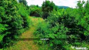 Teren intravilan 6115mp | Danesti, Maramures | Oportunita... 