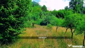 Teren intravilan 6115mp | Danesti, Maramures | Oportunita... 
