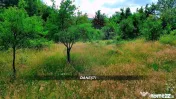 Teren intravilan 6115mp | Danesti, Maramures | Oportunita... 