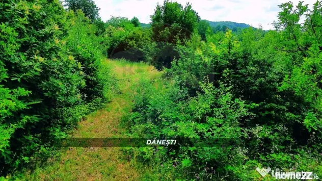 Teren intravilan 6115mp | Danesti, Maramures | Oportunita... - Danesti (Maramures)