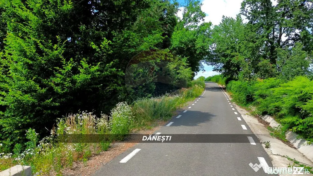Teren intravilan 6115mp | Danesti, Maramures | Oportunita... - Danesti (Maramures)