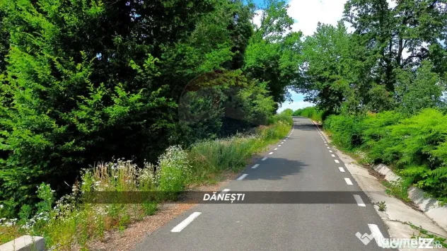 Teren intravilan 6115mp | Danesti, Maramures | Oportunita... - Danesti (Maramures)
