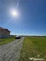 2 Terenuri- MOSNITA VECHE- 675 mp 