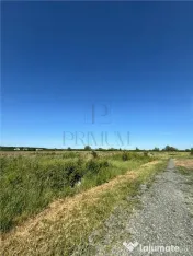 2 Terenuri- MOSNITA VECHE- 675 mp 