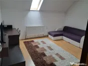 Apartament 1 camera-Centrala-Ac-Buziasului 