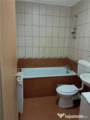 Apartament 1 camera-Centrala-Ac-Buziasului 