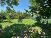 Casă 3 camere de vânzare în Viile Noi – Anda, Constanț 