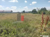 Vânzare 2 loturi de casă Dobreni Giurgiu 