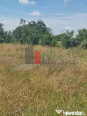 Vânzare 2 loturi de casă Dobreni Giurgiu 