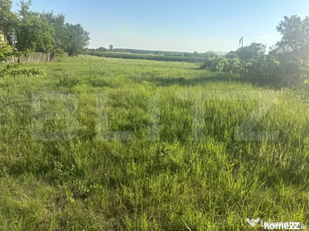 Teren intravilan de vânzare – 13,3 ari, front stradal 23 - Cionchesti (Satu-Mare)