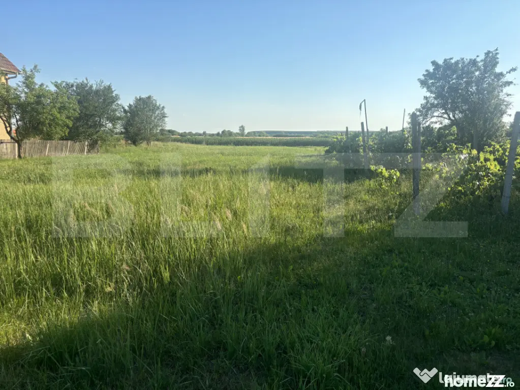 Teren intravilan de vânzare – 13,3 ari, front stradal 23 - Cionchesti (Satu-Mare)