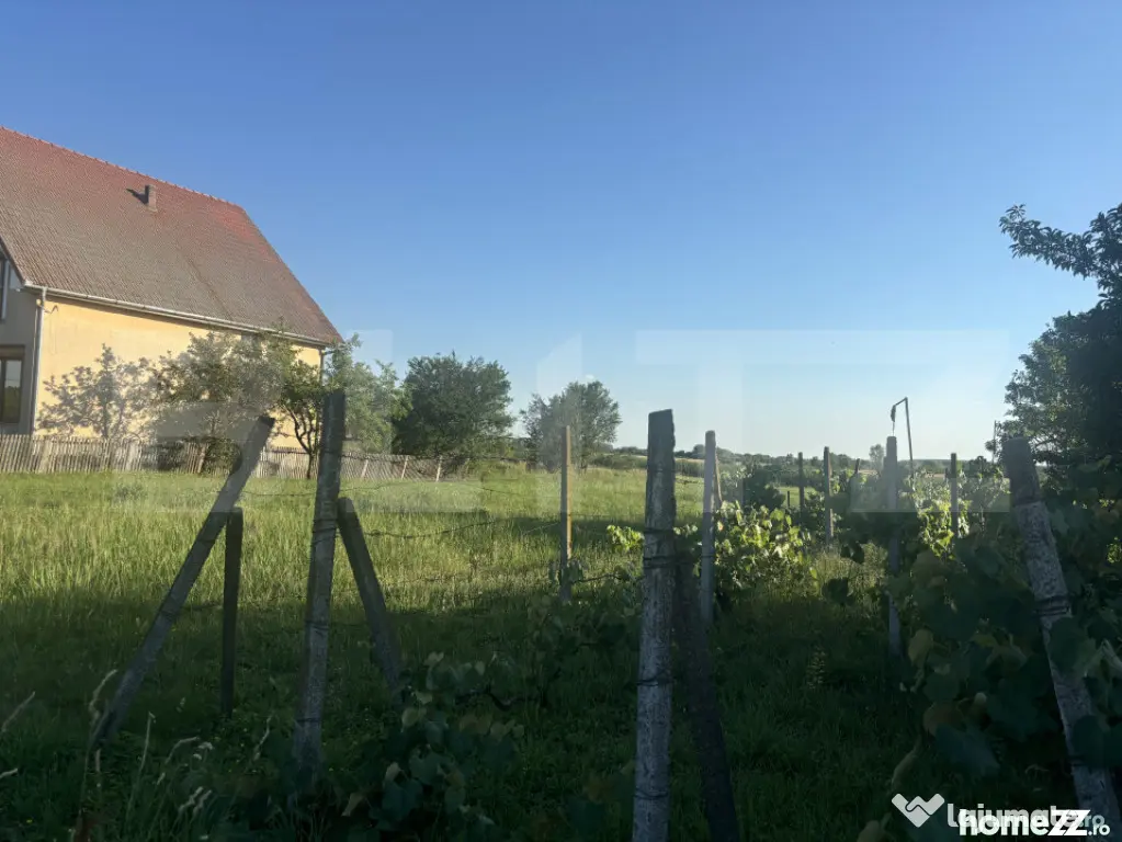 Teren intravilan de vânzare – 13,3 ari, front stradal 23 - Cionchesti (Satu-Mare)