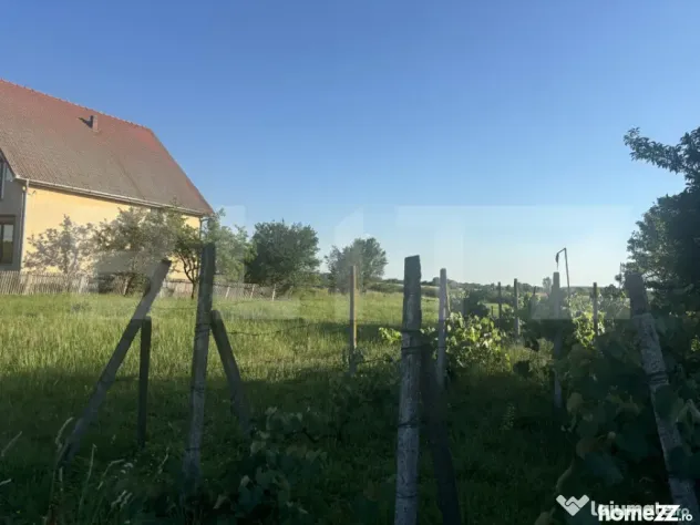 Teren intravilan de vânzare – 13,3 ari, front stradal 23 - Cionchesti (Satu-Mare)