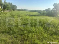 Teren intravilan de vânzare în Cionchești – 13,3 ari , 