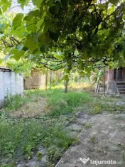 Casa individuala cu 3 camere de inchiriat, 55 mp , Campia Tu 